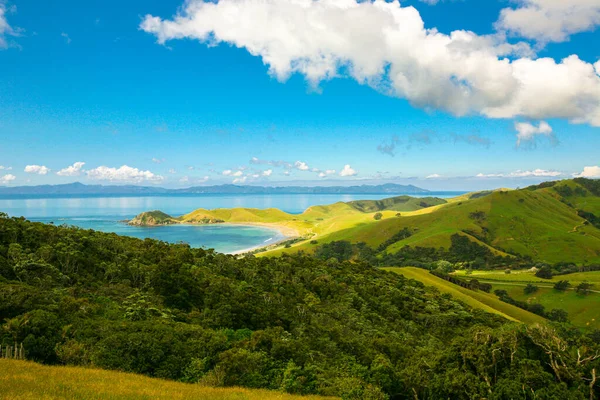 Vista Para Costa Oceano Colinas Nova Zelândia — Fotografia de Stock