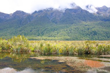 Ayna Gölleri, Te Anau Gölü 'nün kuzeyinde ve Yeni Zelanda' da Te Anau 'dan Milford Sound' a kadar uzanan bir göl kümesidir..