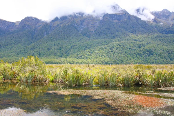 Mirror Lakes 是一组湖泊 位于Te Anau湖以北 紧邻新西兰的Te Anau至Milford湾公路以西 — 图库照片