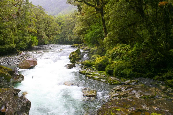 Dağ Nehri Güney Adası Yeni Zelanda — Stok fotoğraf