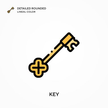 Anahtar detaylandırılmış yuvarlak çizgi rengi. Modern vektör illüstrasyon kavramları. Düzenlemesi ve kişiselleştirmesi kolay.