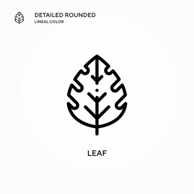 Yaprak vektör simgesi. Modern vektör illüstrasyon kavramları. Düzenlemesi ve kişiselleştirmesi kolay.