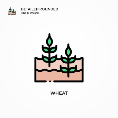 Buğday vektör simgesi. Modern vektör illüstrasyon kavramları. Düzenlemesi ve kişiselleştirmesi kolay.
