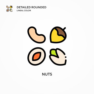 Ceviz vektör simgesi. Modern vektör illüstrasyon kavramları. Düzenlemesi ve kişiselleştirmesi kolay.