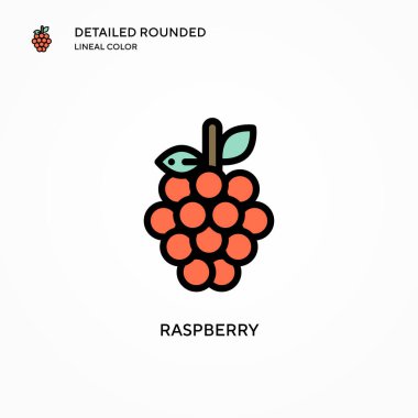 Ahududu vektör simgesi. Modern vektör illüstrasyon kavramları. Düzenlemesi ve kişiselleştirmesi kolay.