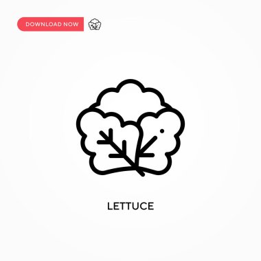 Marul vektör simgesi. Web sitesi veya mobil uygulama için modern, basit düz vektör çizimi