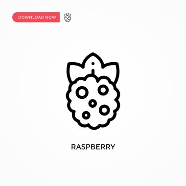 Ahududu vektör simgesi. Web sitesi veya mobil uygulama için modern, basit düz vektör çizimi