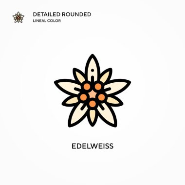 Edelweiss vektör simgesi. Modern vektör illüstrasyon kavramları. Düzenlemesi ve kişiselleştirmesi kolay.