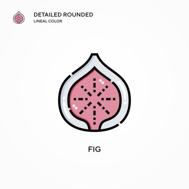 İncir vektör simgesi. Modern vektör illüstrasyon kavramları. Düzenlemesi ve kişiselleştirmesi kolay.