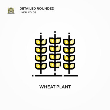 Buğday bitkisi vektör simgesi. Modern vektör illüstrasyon kavramları. Düzenlemesi ve kişiselleştirmesi kolay.