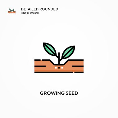 Tohum vektör simgesi büyütülüyor. Modern vektör illüstrasyon kavramları. Düzenlemesi ve kişiselleştirmesi kolay.