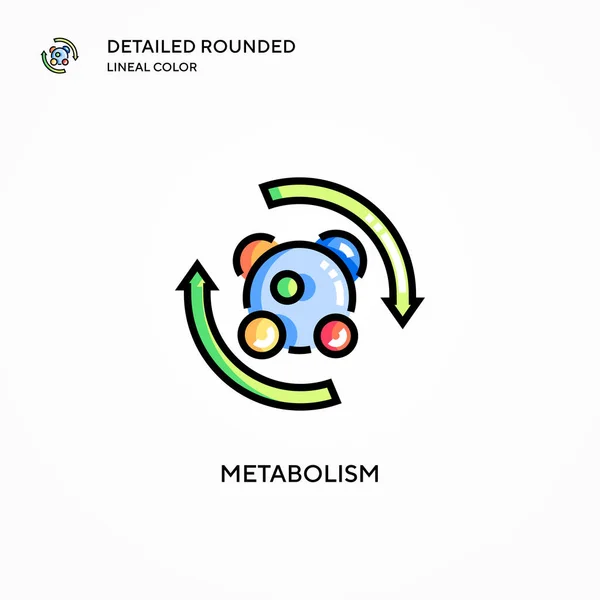 Metabolismo Vector Icono Conceptos Modernos Ilustración Vectorial Fácil Editar Personalizar — Archivo Imágenes Vectoriales