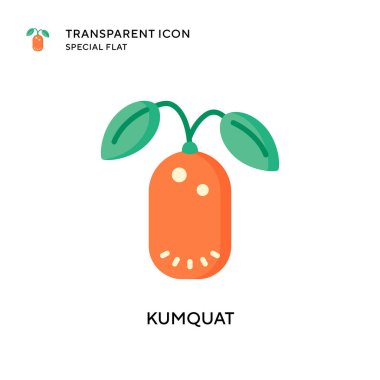 Kumquat vektör simgesi. Düz çizim. EPS 10 vektörü.