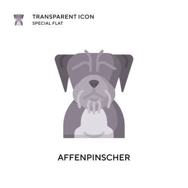 Affenpinscher vektör simgesi. Düz çizim. EPS 10 vektörü.