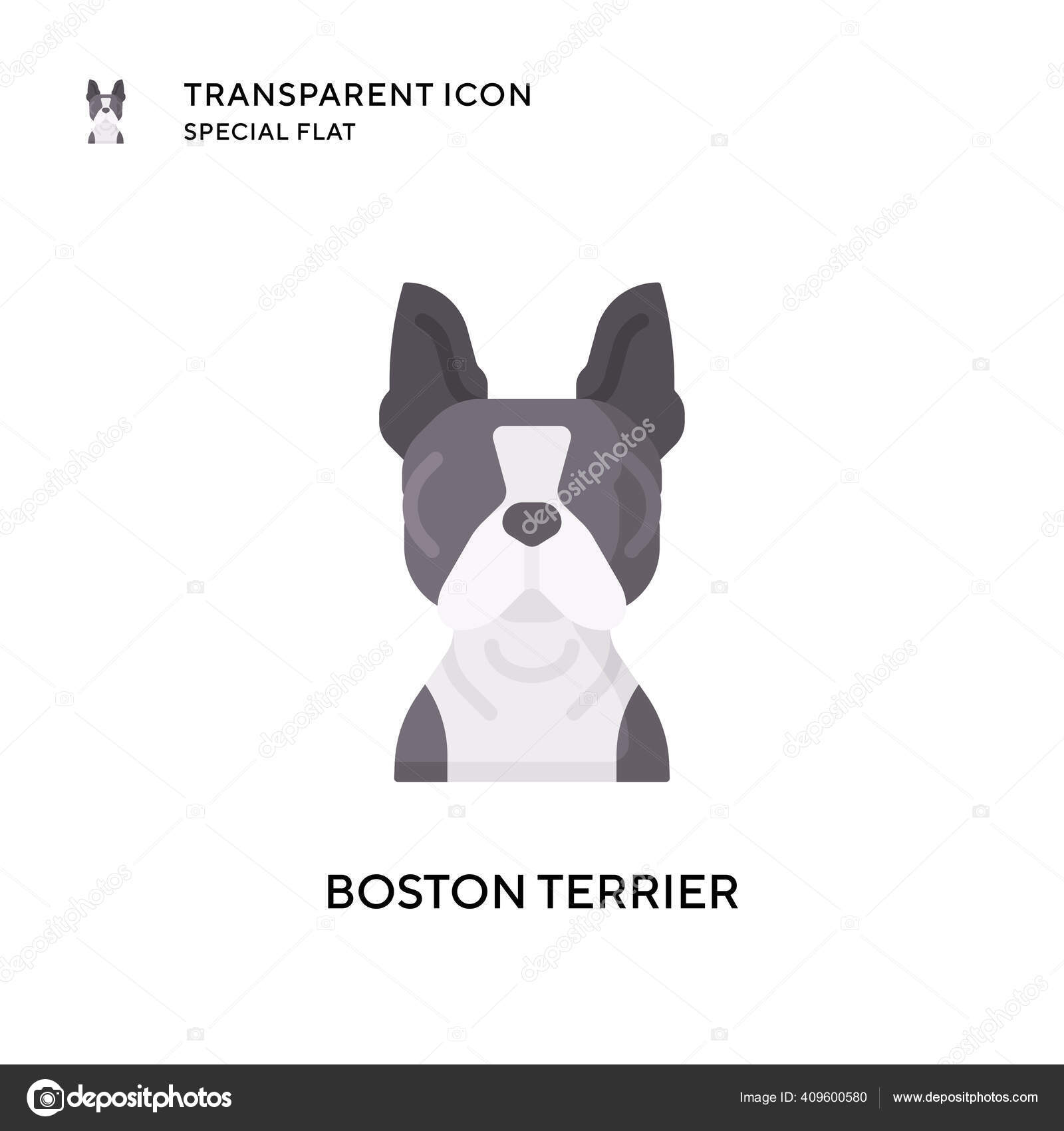 Boston Terrier Puppyストックベクター ロイヤリティフリーboston Terrier Puppyイラスト ページ 3 Depositphotos