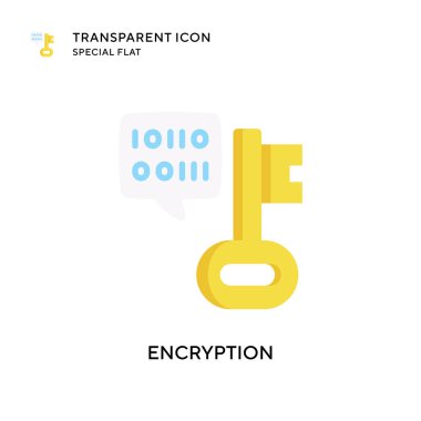 Şifreleme vektör simgesi. Düz çizim. EPS 10 vektörü.