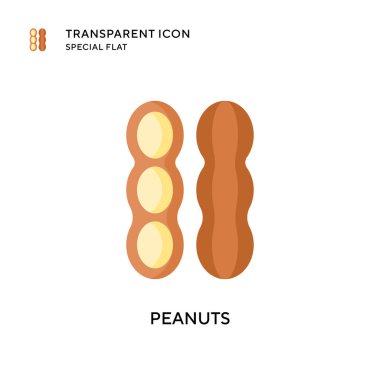 Yer fıstığı vektör simgesi. Düz çizim. EPS 10 vektörü.