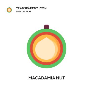 Macadamia fındık vektör simgesi. Düz çizim. EPS 10 vektörü.
