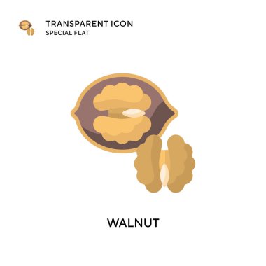 Ceviz vektör simgesi. Düz çizim. EPS 10 vektörü.