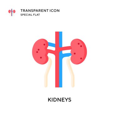 Böbrek taşıyıcı ikonu. Düz çizim. EPS 10 vektörü.