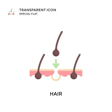 Saç vektör simgesi. Düz çizim. EPS 10 vektörü.