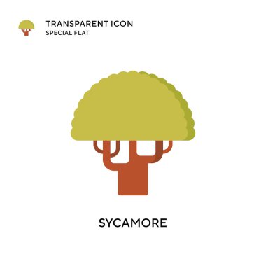 Sycamore vektör simgesi. Düz çizim. EPS 10 vektörü.