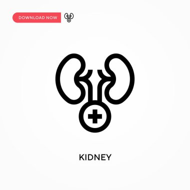 Böbrek Basit vektör simgesi. Web sitesi veya mobil uygulama için modern, basit düz vektör çizimi
