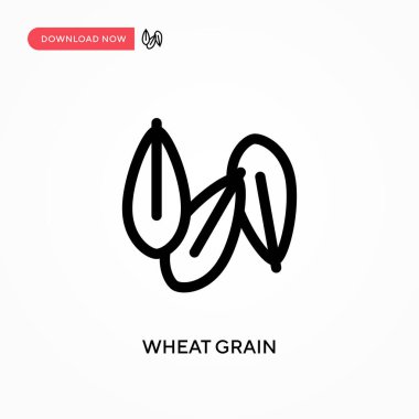 Buğday taneleri basit vektör simgesi. Web sitesi veya mobil uygulama için modern, basit düz vektör çizimi