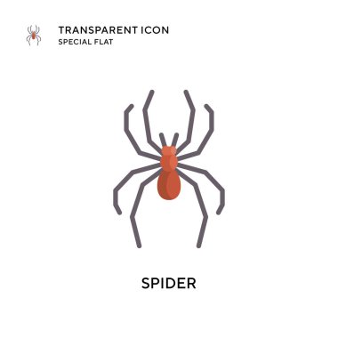Örümcek vektör simgesi. Düz çizim. EPS 10 vektörü.