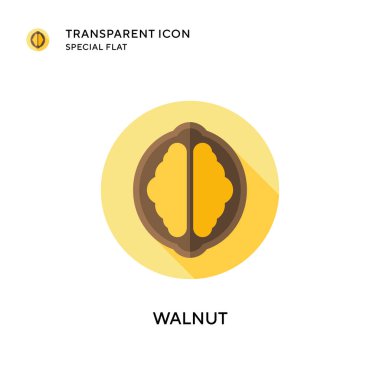 Ceviz vektör simgesi. Düz çizim. EPS 10 vektörü.