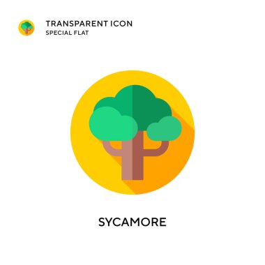 Sycamore vektör simgesi. Düz çizim. EPS 10 vektörü.