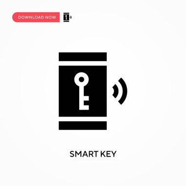 Akıllı anahtar vektör simgesi. - Evet. Web sitesi veya mobil uygulama için modern, basit düz vektör çizimi