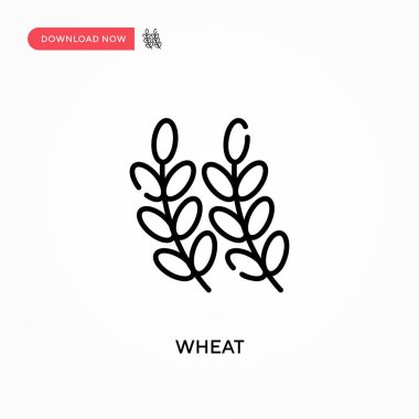 Buğday Basit vektör simgesi. Web sitesi veya mobil uygulama için modern, basit düz vektör çizimi