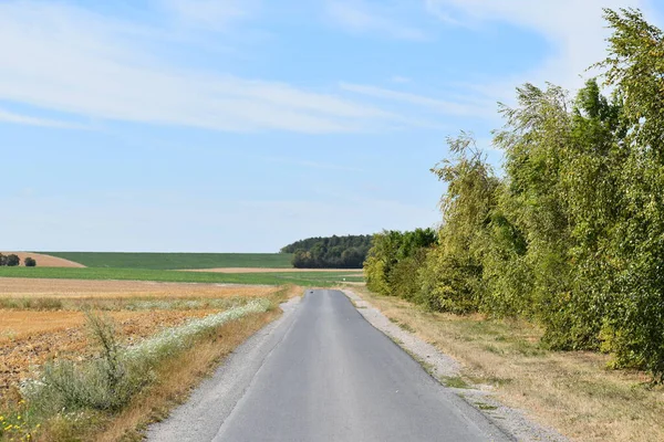 Fransız kırsalındaki tarladan geçen yol.