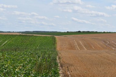 Birbirine yakın iki alan.