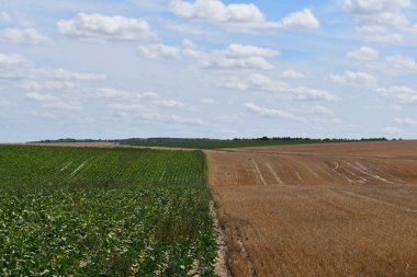 Birbirine yakın iki alan.