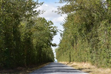 Fransa kırsalında yeşil koridor