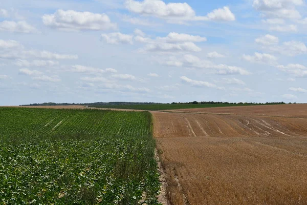 Birbirine yakın iki alan.