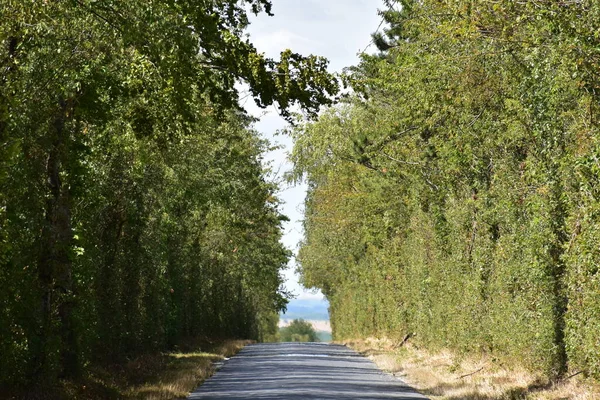 Fransa kırsalında yeşil koridor