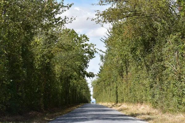 Fransa kırsalında yeşil koridor