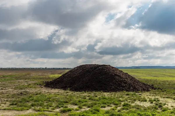 Tarlada bir yığın gübre.