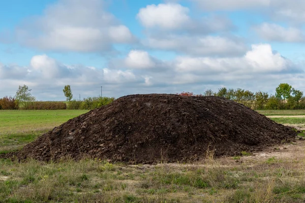 Tarlada bir yığın gübre.