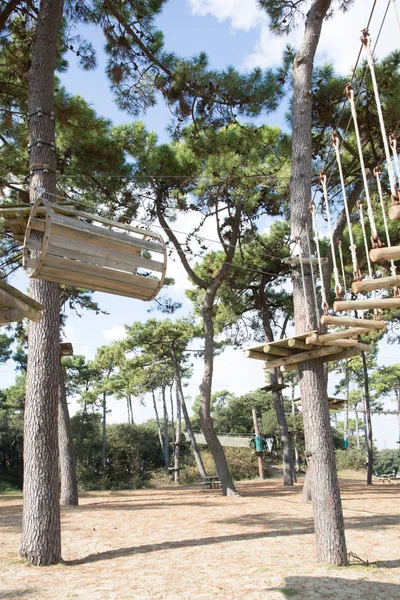 Ağaç Tırmanma Bir Ders Ağaç Cambaz Parkta Yürüyüş — Stok fotoğraf