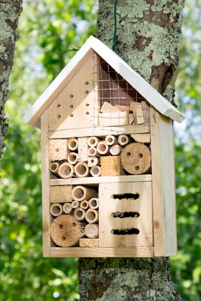 Dřevěný Hotel Hmyzu Domů Box Zahradě — Stock fotografie