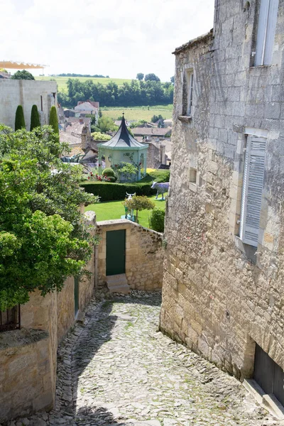 Saint Emilion Bordeaux Francia 2018 Itinerari Vinicoli Bordeaux Vigneto Saint — Foto Stock