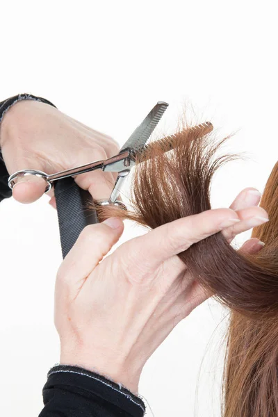 Detalle Una Peluquera Estilista Que Seca Cabello Las Mujeres Salón — Foto de Stock