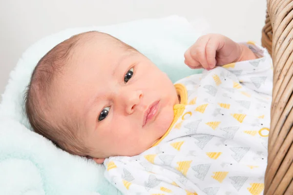 Small Newborn Boy Baby Lying Basket White Floor — Stock Photo, Image