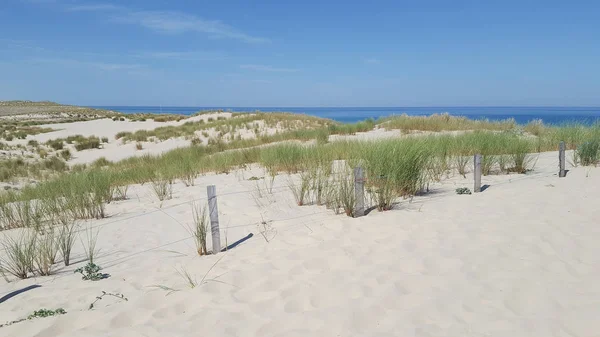 Schöne Meeresküste Mit Sanddünen Sommer — Stockfoto