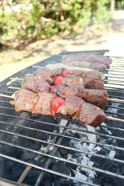 Закрыть Часть Мясных Грибов Шашлычной Летом Открытом Воздухе — стоковое фото