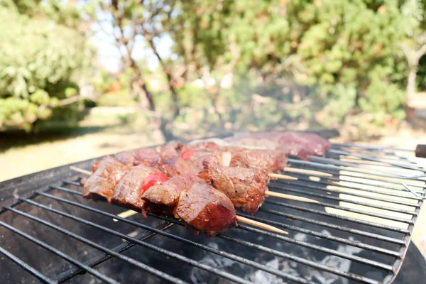 Cena Fiesta Barbacoa Cerdo Asado Casa Casa Jardín —  Fotos de Stock